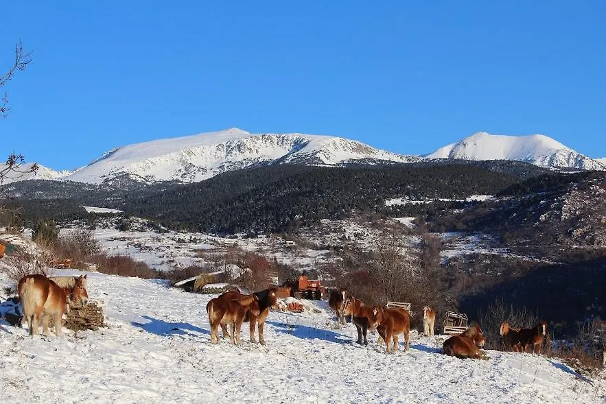 Refugi Cap Del Rec Hostel Lles De Cerdanya
